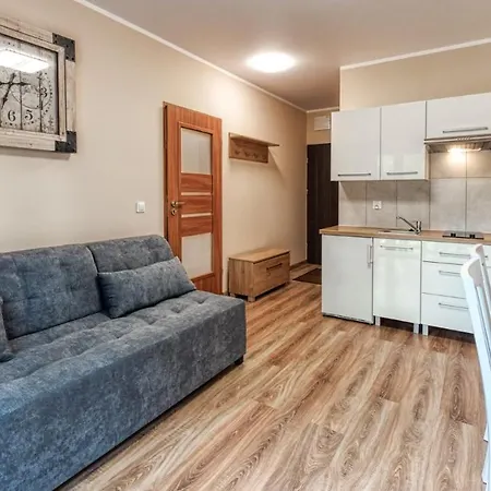 Mountain By Royal Aparts * Świeradów-Zdrój